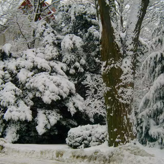 Free desktop wallpaper winter scenes