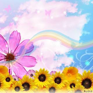 Colorful backgrounds wallpaper