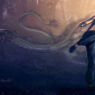 Martial arts wallpaper