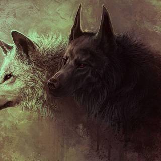 Wolf wallpaper 1920x1080