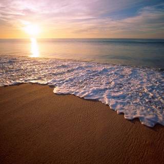 HD nature wallpaper for Mac