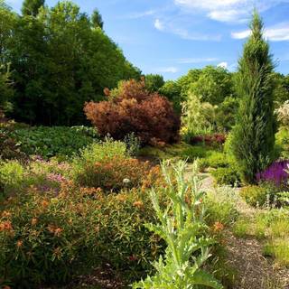 Nature wallpaper for PC