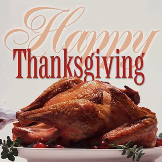 Turkey thanksgiving wallpaper