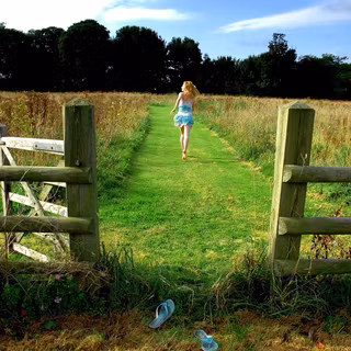 Summer nature wallpaper