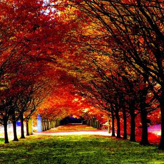 Beautiful fall pictures wallpaper