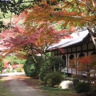 Japanese scenery wallpaper