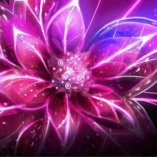 Purple love wallpaper