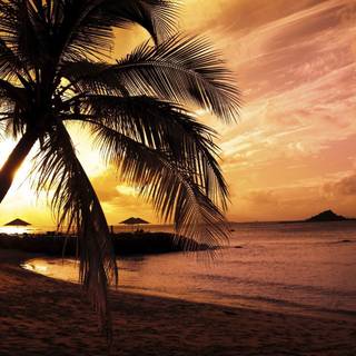 Beach paradise wallpaper