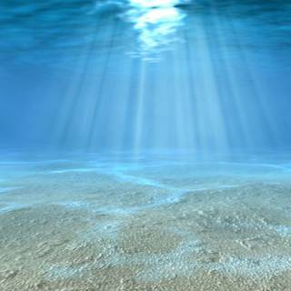 Underwater wallpaper
