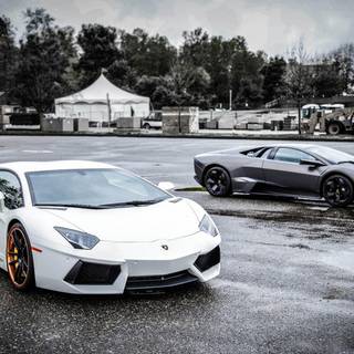 White Lamborghini wallpaper