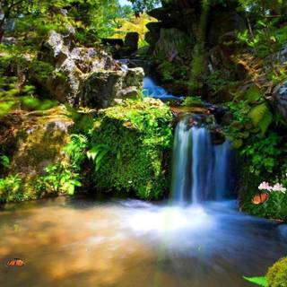 Moving wallpaper for computer desktop