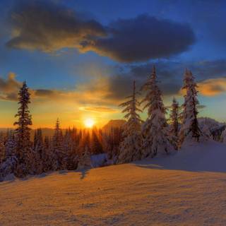 Winter sunset