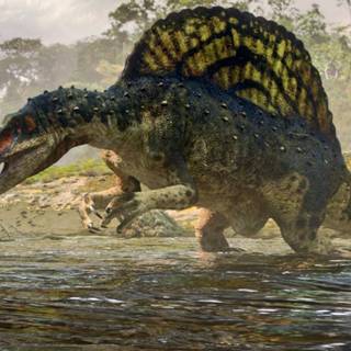 Spinosaurus wallpaper
