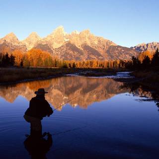 Fly fishing wallpaper