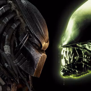 Alien vs Predator wallpaper