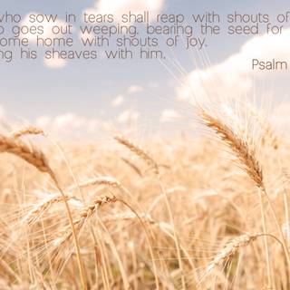 Wallpaper bible verse