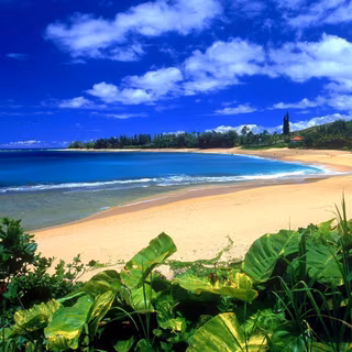 Wallpaper hawaii beach