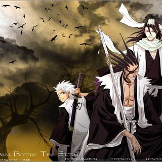 Kenpachi Zaraki wallpaper