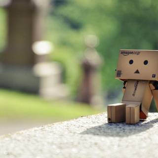 Danbo wallpaper