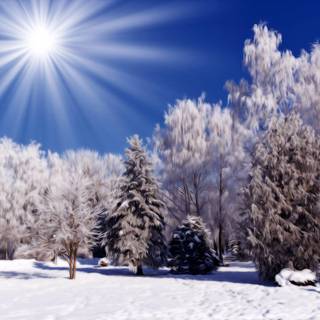 Winter scenes free wallpaper