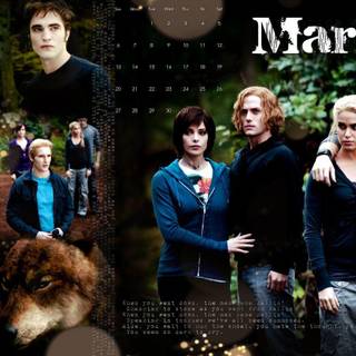 Twilight Saga wallpaper