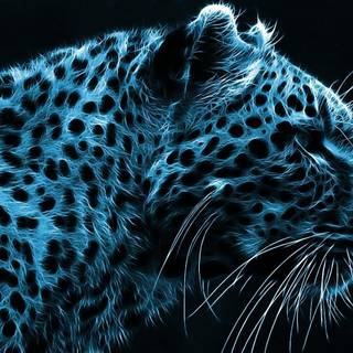Cheetah background pictures