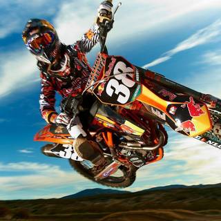 Motocross bikes wallpaper