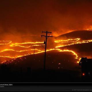 Forest fire wallpaper