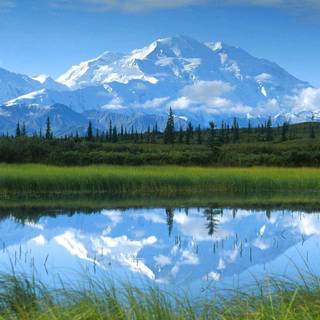 Free scenic wallpaper for desktop