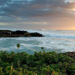 Free hawaii pictures