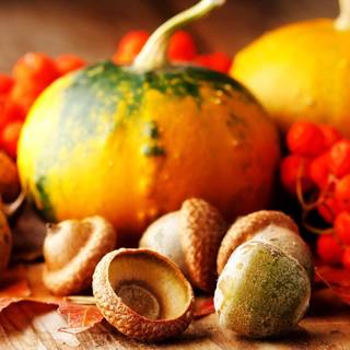 Thanksgiving wallpaper screensavers