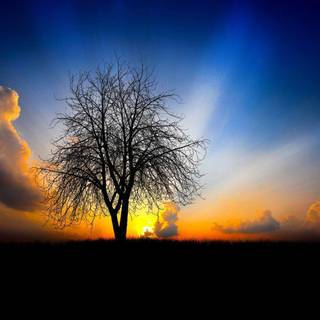 Awesome 1080p wallpaper