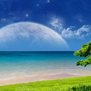 Screen backgrounds free