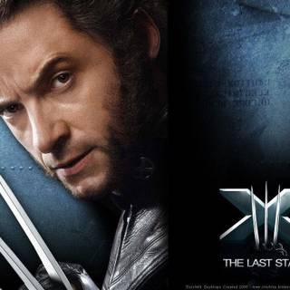 Wallpaper wolverine x-men