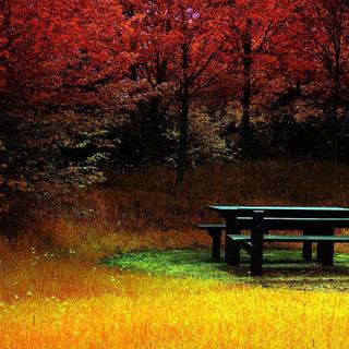 Landscape backgrounds