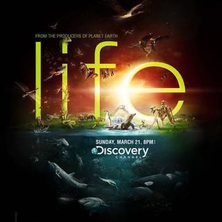 Discovery Channel wallpaper