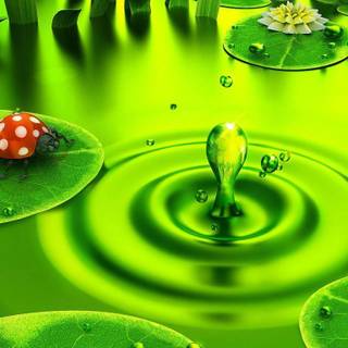 Pictures of nature backgrounds