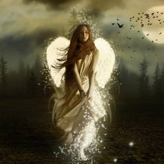 Free angel wallpaper