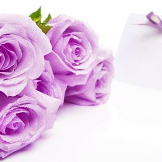 Nice purple wallpaper