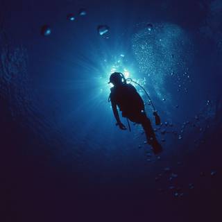 Scuba wallpaper
