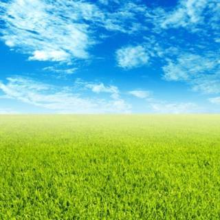 Free background wallpaper