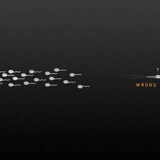 Funny picture wallpaper