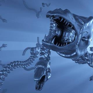 Dragons desktop wallpaper