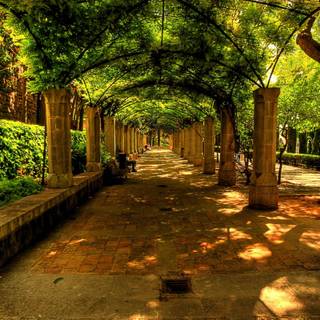 Beautiful free wallpaper