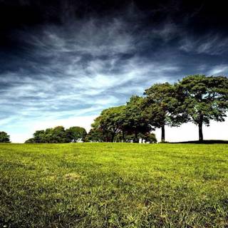 1600 x 900 HD wallpaper