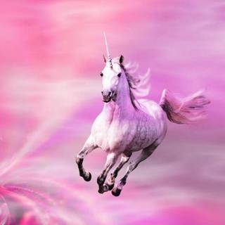 Unicorn background
