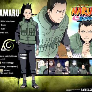 Naruto shippuden gallery