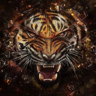 Cool tiger pictures