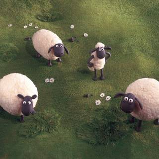 Shaun the Sheep wallpaper