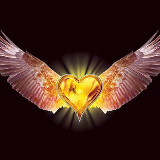 Free heart wallpaper